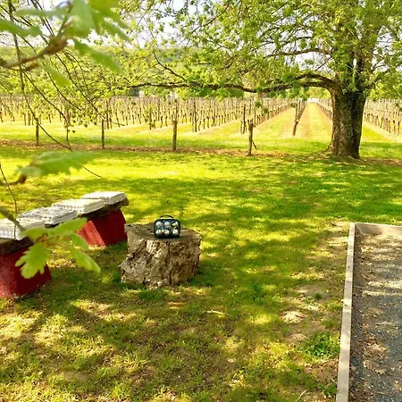 La Carreterie - Les Gites Pineuilh Exterior foto